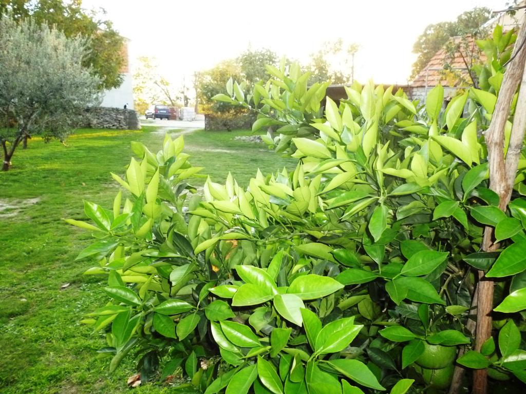 Policnik Apartment Put Vidaka מראה חיצוני תמונה